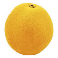 Oranges